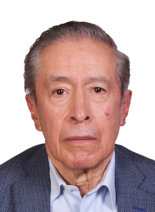 M. en I. Ángel Armando Albíter Rodríguez